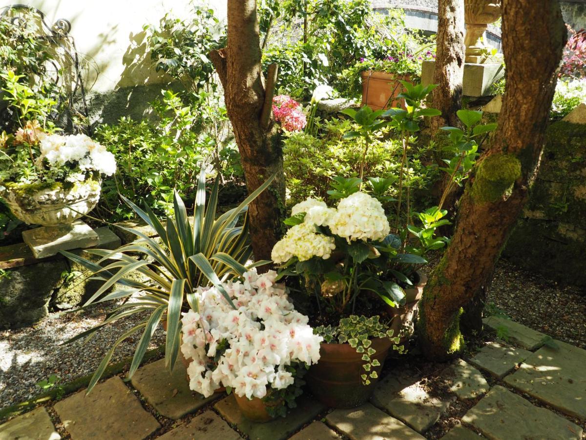 Bed and Breakfast Casa Ella Bagni di Lucca Esterno foto